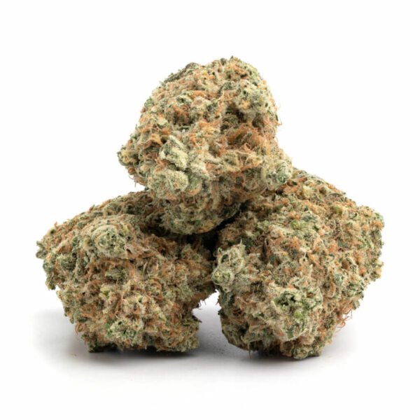 Girl Scout Cookies