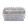 Short Dated Magic Mushroom Grow Kit