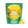 Pineapple Jalapeno Gummies - Pina Dream Gem Drops