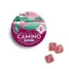 Sour Watermelon Spritz 'Uplifting' Gummies (S)