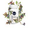 Wyld CBD, Huckleberry Gummies, Broad Spectrum THC-Free, 20ct, 500mg CBD